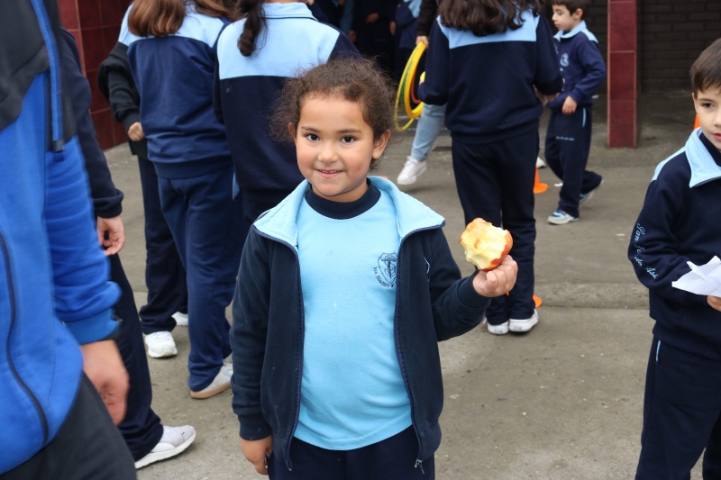 Día de la Actividad Física